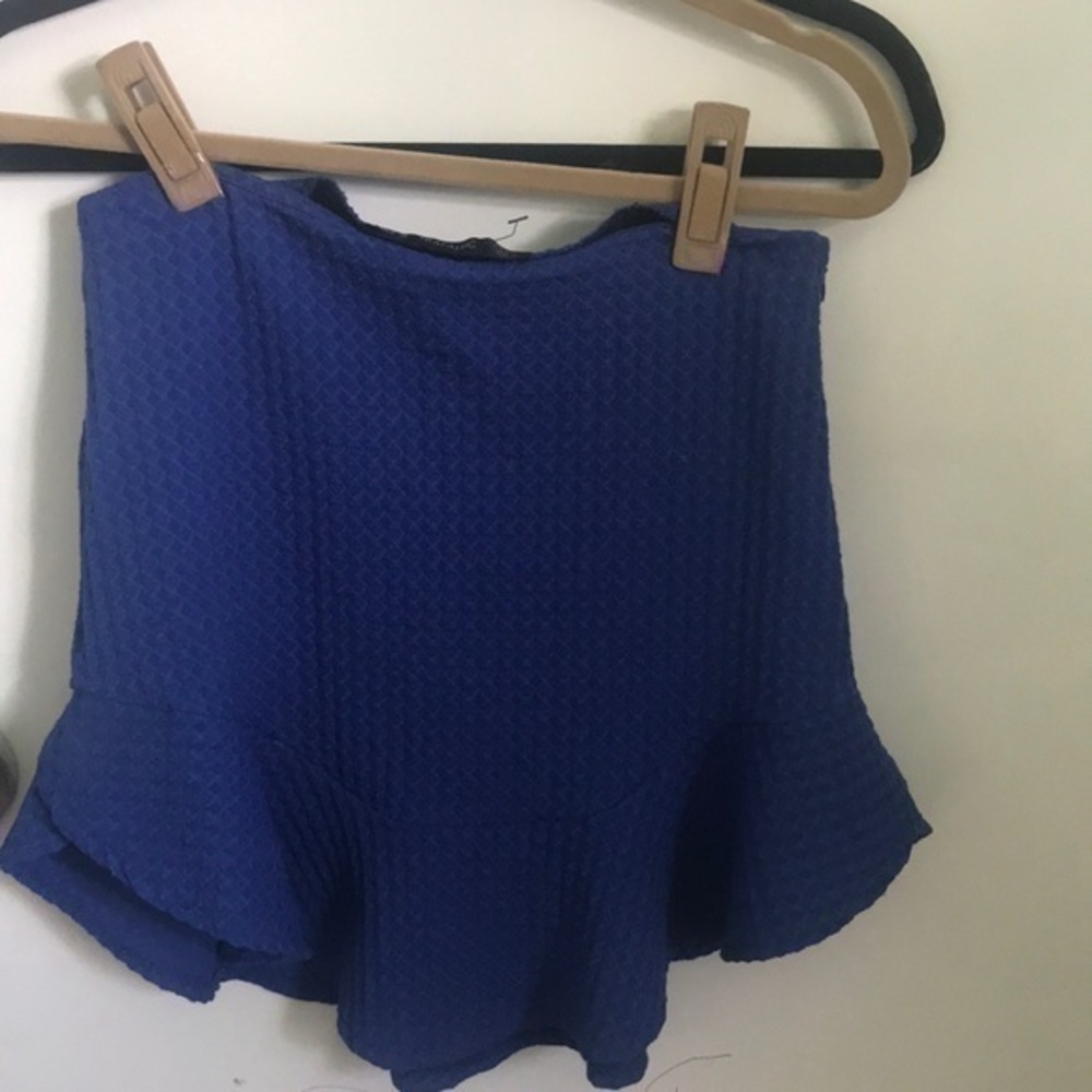 Zara Trafaluc skirt